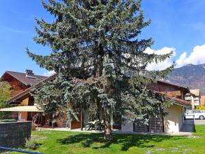 a large pine tree in front of a house at Apartment von Allmen by Interhome in Wilderswil