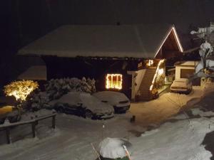 una casa con auto parcheggiate nella neve di notte di Apartment Chalet Bärgsunna-4 by Interhome a Grindelwald Altre 24 foto