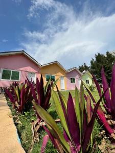 uma casa com plantas roxas em frente em Tahiti Hotel em Cotonou