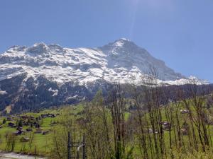 a snow covered mountain with a green field and trees at Apartment Chalet Eiger-1 by Interhome in Grindelwald