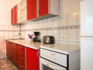 Kuchyň nebo kuchyňský kout v ubytování Apartment Dalibor-1 by Interhome