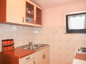 Kuchyňa alebo kuchynka v ubytovaní Apartment Dalibor-2 by Interhome