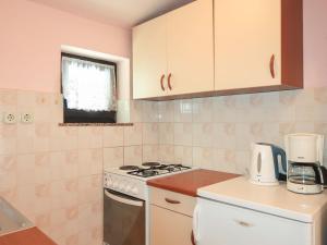 Kuchyňa alebo kuchynka v ubytovaní Apartment Dalibor-2 by Interhome
