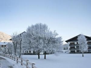 Apartment Dachstein-1 by Interhome v zimě