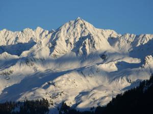 una montaña cubierta de nieve con árboles en el primer plano en Apartment Mangeng-2 by Interhome, en Bartholomäberg