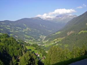 Blick auf ein Tal mit Bäumen und Bergen in der Unterkunft Apartment Mangeng-2 by Interhome in Bartholomäberg