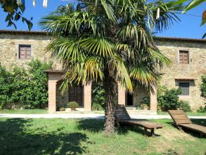 A garden outside Holiday Home Agrumi by Interhome