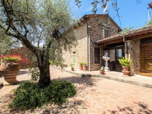 A garden outside Holiday Home Borgo della Limonaia-4 by Interhome