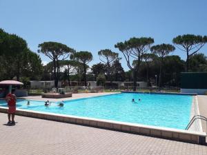 eine Gruppe von Personen, die in einem Schwimmbad schwimmen in der Unterkunft Apartment Campeggio del Forte-1 by Interhome in Marina di Bibbona