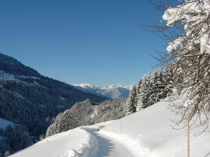 Paesaggio naturale nelle vicinanze dell'appartamento