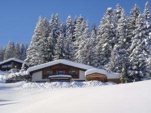 Chalet The Schatzie by Interhome að vetri til