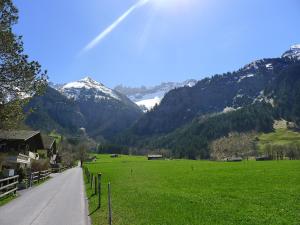 a road in a field with mountains in the background at Apartment Untertal by Interhome in Elm