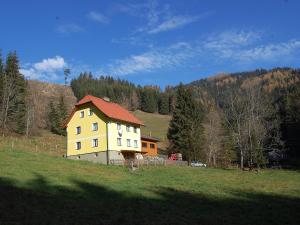 una casa amarilla en una colina en un campo en Holiday Home Krechen Alm by Interhome en Pernegg an der Mur