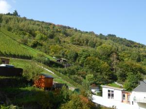 a view of a hill with houses and trees at Apartment Weingut Krempel by Interhome in Traben-Trarbach