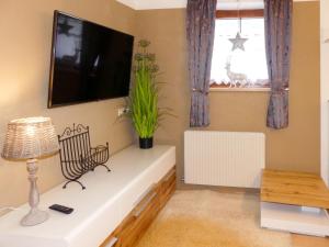 TV a/nebo společenská místnost v ubytování Apartment Viktoria by Interhome