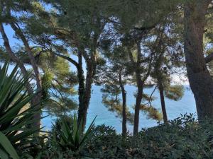 uma vista para o oceano através de um grupo de árvores em Apartment Tondini by Interhome em Pedaso