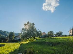 un campo de hierba con el sol en el cielo en Apartment Barbara by Interhome en Corsanico-Bargecchia