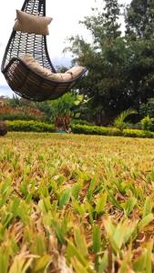 a basket swing hanging over a field of grass at Bloom private home in Thika