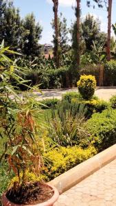 a garden with flowers and plants in a park at Bloom private home in Thika