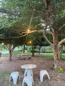 een picknicktafel en banken in een park met een boom bij บ้านสวนวงศ์จินดารักษ์ in Phayao