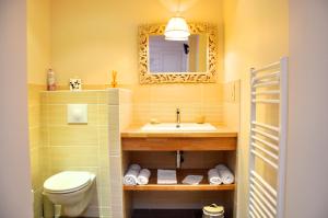 La salle de bains est pourvue d'un lavabo, de toilettes et d'un miroir. dans l'établissement Chambre d'Hôtes La Maisonnette, à Étusson