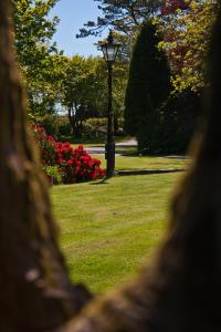 vista su un parco con un lampione e fiori di Pendragon Country House a Camelford