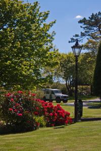 un parco con lampione e fiori rossi di Pendragon Country House a Camelford