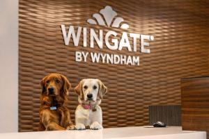 Deux chiens sont assis à une table devant un panneau dans l'établissement Wingate by Wyndham Lethbridge, à Lethbridge