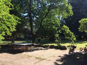 Zahrada ubytování Ferienhaus 1 _ Ferien im Gutspark