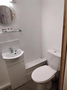 a white bathroom with a toilet and a sink at The Old Colliery Stables in Durham