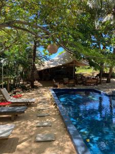 una piscina frente a una casa con tienda en Otentic, Eco Tent Experience en Grande Rivière Sud Est