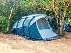 a blue and white tent in front of trees at Alto Paraíso de Goias Camping e Estúdio in Alto Paraíso de Goiás