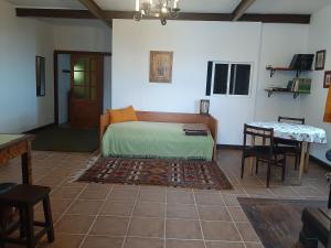 1 dormitorio con 1 cama y 1 mesa con sillas en Casa rural en finca ecológica, en La Orotava