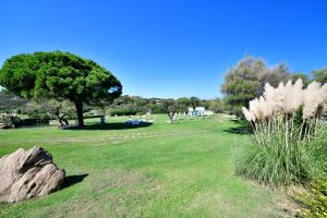 a grassy area with a picnic table and trees at Bagaglino I Giardini Di Porto Cervo in Porto Cervo