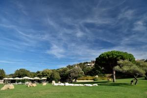 a grassy field with several tents and trees at Bagaglino I Giardini Di Porto Cervo in Porto Cervo