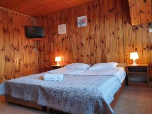 - une chambre dotée d'un lit avec des murs en bois et 2 lampes dans l'établissement Willa Słotwinka, à Krynica-Zdrój