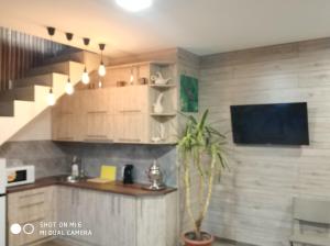 a kitchen with wooden cabinets and a potted plant at Home and SPA in Kyiv