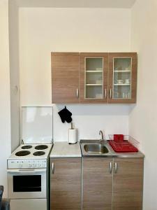 a small kitchen with a stove and a sink at Apartman Start in Pale