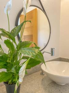 a bathroom with a plant next to a sink at CASA RENASCER in Trancoso +12 photos