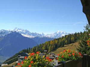 Blick auf ein Tal mit Bergen und Blumen in der Unterkunft Studio Wohnung 1 by Interhome in Bettmeralp