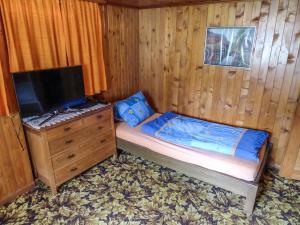 Televizorius ir (arba) pramogų centras apgyvendinimo įstaigoje Apartment Heiderösli-1 by Interhome