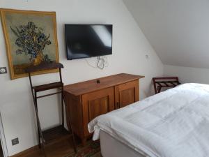 Televízia a/alebo spoločenská miestnosť v ubytovaní Parkhotel Vrbno