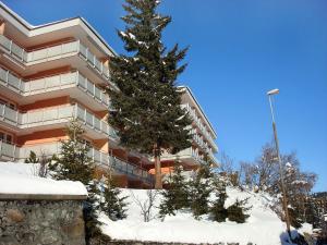 Ein Baum im Schnee vor einem Gebäude in der Unterkunft Apartment Promenade - Utoring-60 by Interhome in Arosa