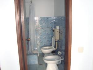 a bathroom with a toilet and a shower at Mira Fortaleza in Sagres