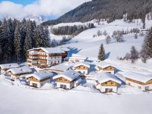Fotografie z fotogalerie ubytování Holiday Home Waldkauz groß by Interhome v destinaci Pfarrwerfen