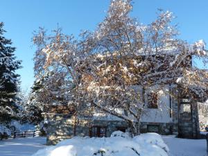 a tree covered in snow in front of a building at Apartment Hérisson by Interhome in Sarre