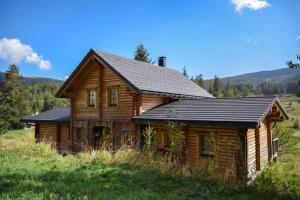 una baita di tronchi con tetto nero su una collina di Magnifique chalet avec SAUNA a Roubion