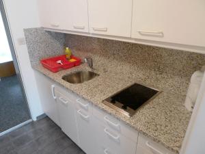 Küche/Küchenzeile in der Unterkunft Apartment Casa Jenatsch-24 by Interhome