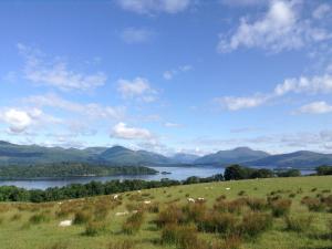 una mandria di animali al pascolo in un campo vicino a un lago di Holiday Home Lorn Mill-2 by Interhome a Balloch