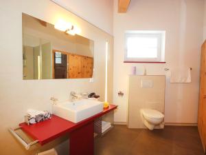 a bathroom with a sink and a toilet and a mirror at Apartment Am Bärenkopf by Interhome in Maurach